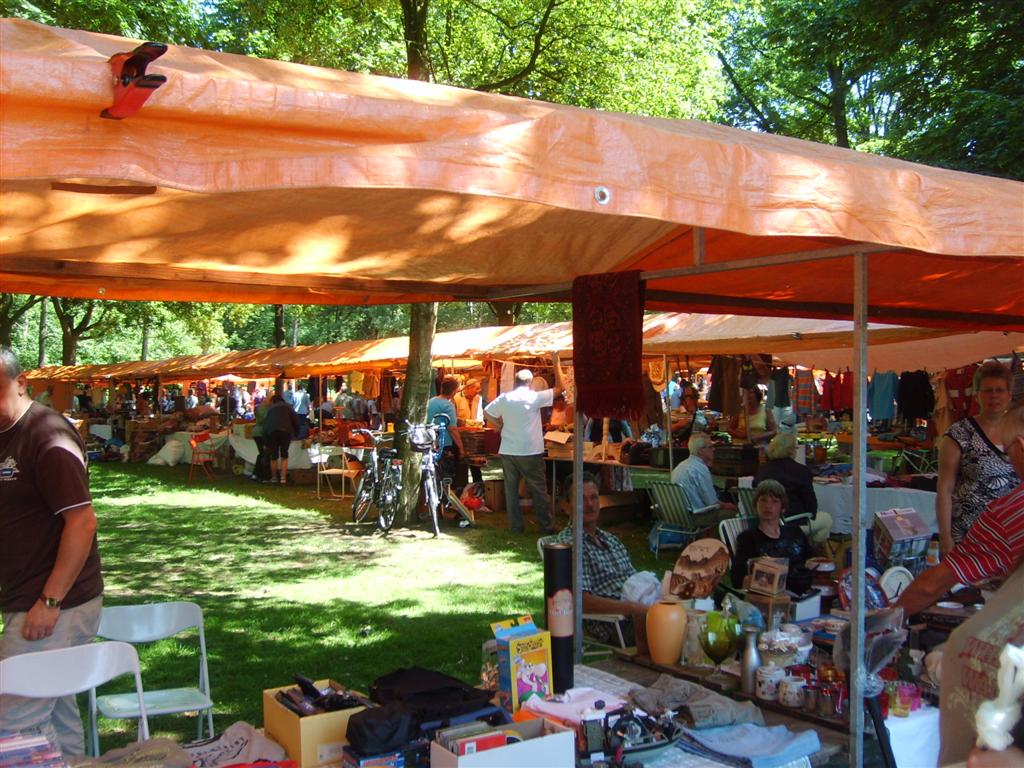 S5007795 (Large).jpg